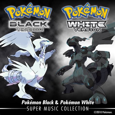 Pokémon Black / White .